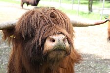 you talking to me.JPG