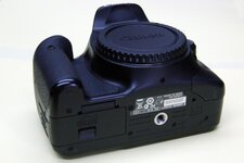 550-101.JPG