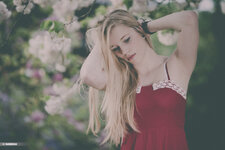 © now68 -9012.jpg