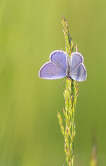 IMG_8393.jpg