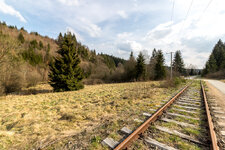 IMG_6583.jpg