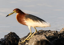 IMGL4279 (82 von 1).jpg