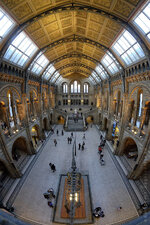 s175723-London.jpg