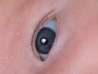 Raw Schärfe 0 OOC.jpg