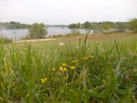 SAM_0244c12.jpg