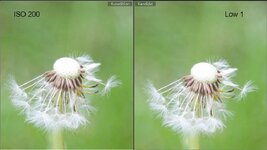 D700_ISO200vsLo1.jpg