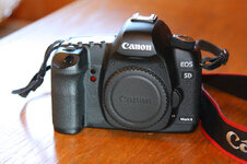 IMG_2523_forum.jpg