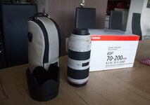 IMG_5345_5.jpg