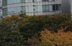 IMGP3725 - rechter Rand.jpg