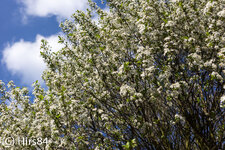 20130505-IMG_3144.jpg