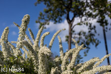 20130505-IMG_3207.jpg