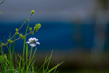 DSC08136.jpg