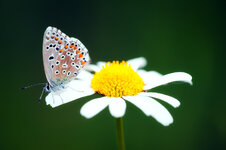 ISY_6820.jpg