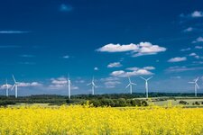 Windpark-Waldhausen--20150528-2260.jpg
