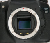 7D-6.jpg
