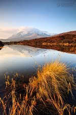 AUST8065.jpg AUST8065.jpg