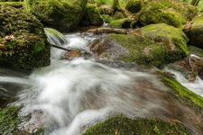 Gertelbach, Schwarzwald-7348-1.jpg