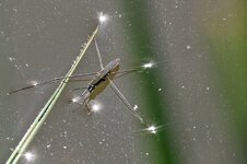 comp_CO0A6939.jpg
