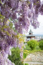 _MG_4681_mail.jpg