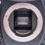 P5100188 (2).jpg