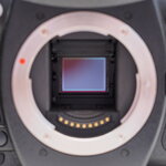 P5100196 (2).jpg