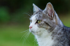 DSC_6112x2.jpg