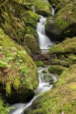 Gertelbach Wasserfall 24-05-2015-2874-1.jpg