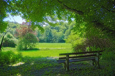 sommerblick.jpg sommerblick.jpg