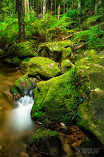 IMG_4372.jpg IMG_4372.jpg