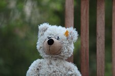 IMG_5426_kl.jpg