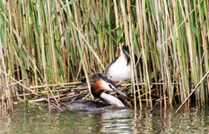 IMGL4279 (13 von 1).jpg