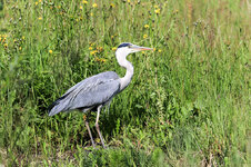 IMGL4279 (14 von 1).jpg