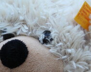 IMG_5426_DPP_crop.JPG
