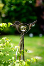 DSCF0173.jpg