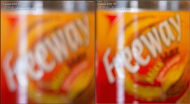 05_6D_7D_Crop_Bokeh2.jpg