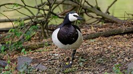 comp_ 2DSC_2920_DxO Tammy.jpg