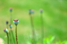 DSCF9219_DSLR.jpg
