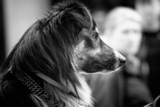 15 - 6 - Street_2.jpg