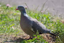 IMG_3186.jpg
