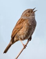 comp(695)k.jpg