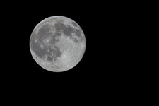 mond1.jpg