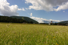 DSC_2412-1.jpg