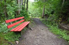 DSC_2375_1.jpg