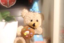 IMG_8234_mod.jpg