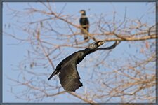 IMG_8846.jpg