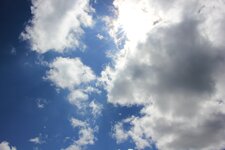 comp_IMG_5114.jpg
