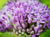 DSLR_FORUM_E-5 (2 von 3).jpg