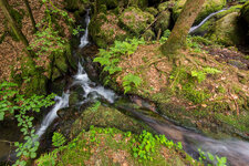 Gertelbach Wasserfall 24-05-2015-7331-1.jpg