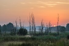 DSC_1460-2.jpg
