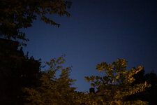 20150612-DSC00782.jpg